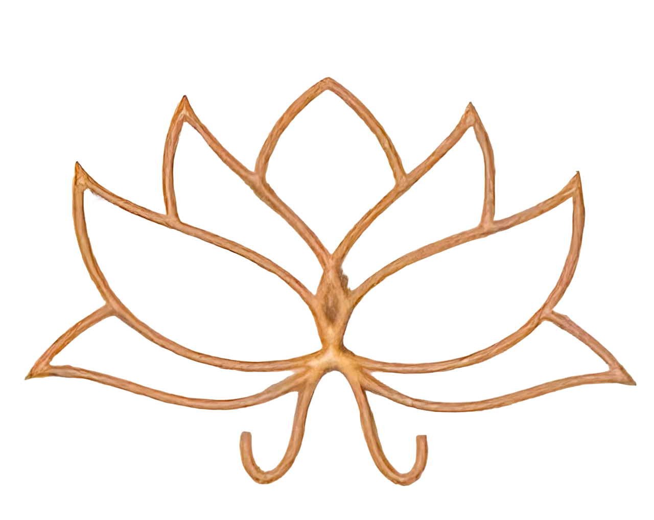 LOTUS BAR